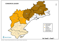 Consorcis Leader