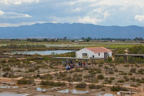 Colònies dels grans al Montsià