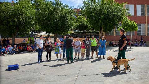 La Guàrdia Civil fa una exhibició amb els gossos