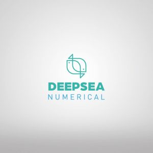 DeepSea Numerical SL