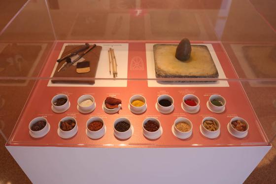 Exposició dels Pavesos a Tortosa