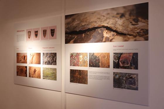 Exposició dels Pavesos a Tortosa