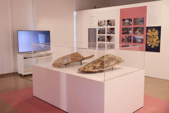 Exposició dels Pavesos a Tortosa