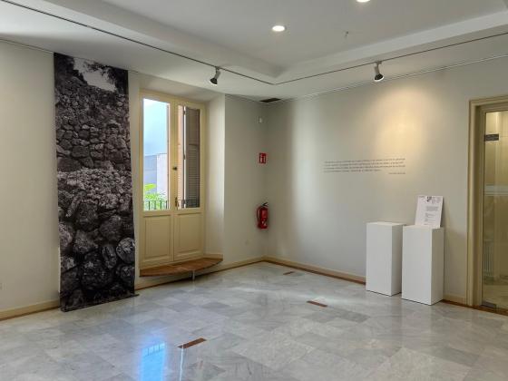 Fer Negre, al Palau Bofarull