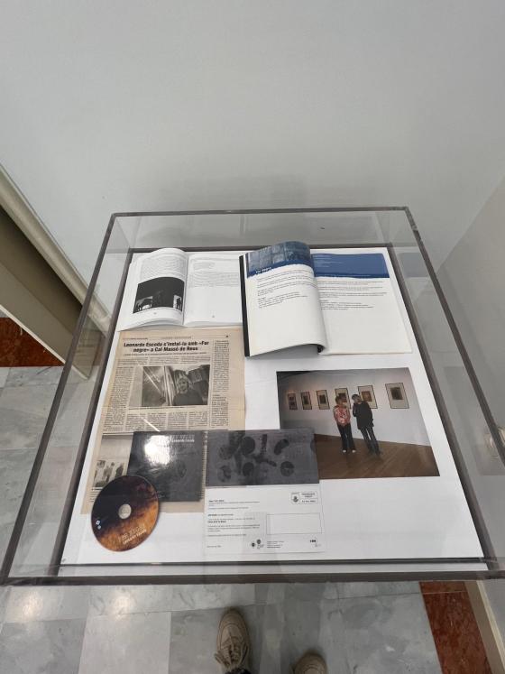 Fer Negre, al Palau Bofarull