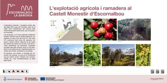 Explotaciçó agrícola i ramadera