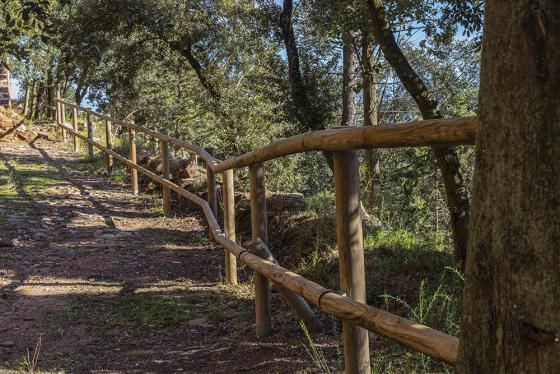Passarel·les a la ruta del bosc
