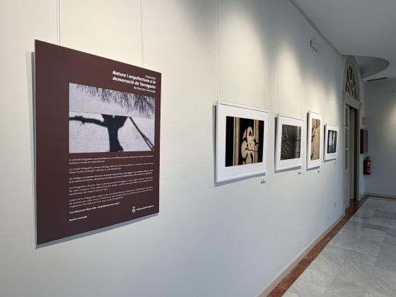 Natura i arquitectura a la demarcació de Tarragona 