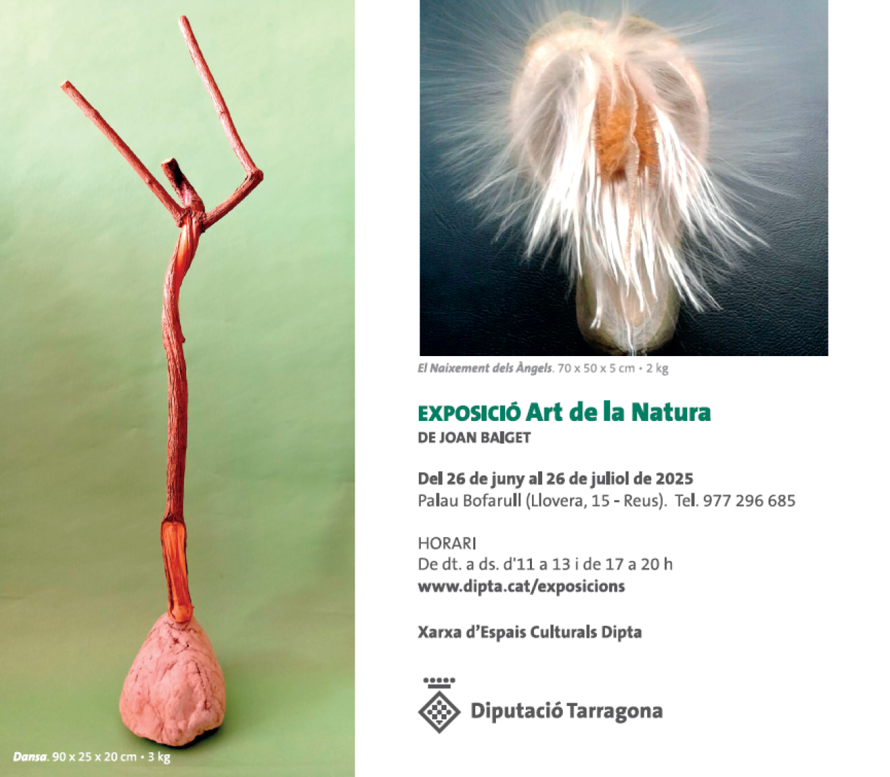 Informació de l'exposició