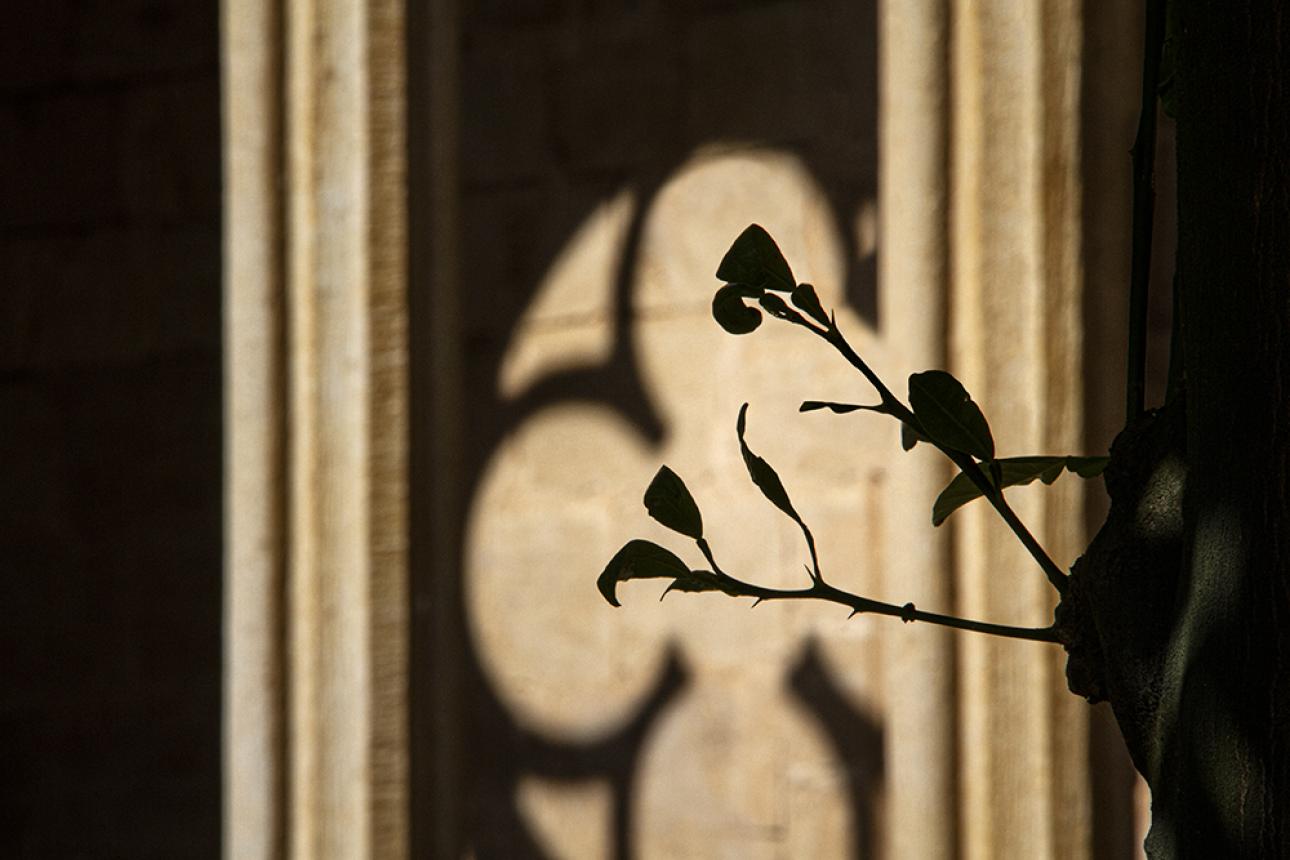 Natura i arquitectura a la demarcació de Tarragona
