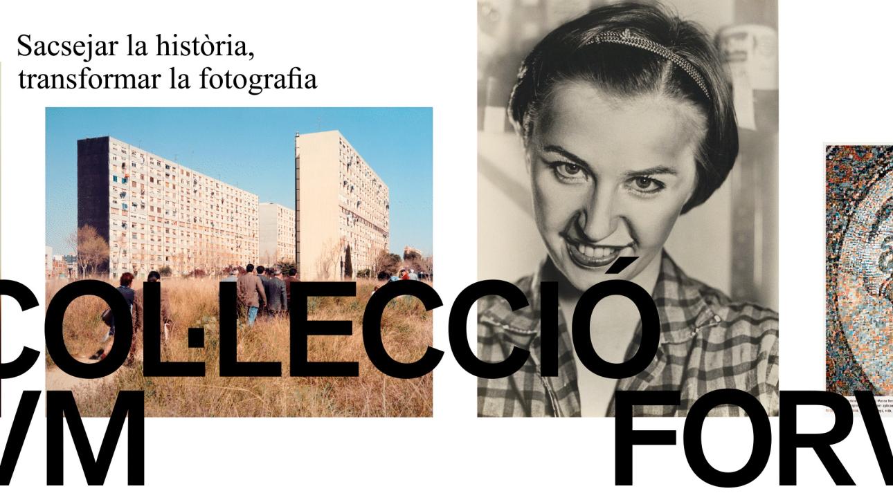 col3leccio forvum