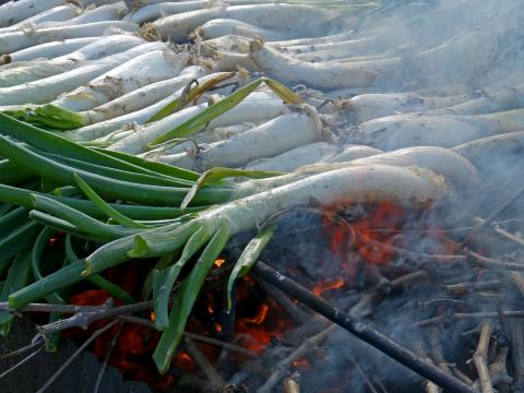 calçot de valls