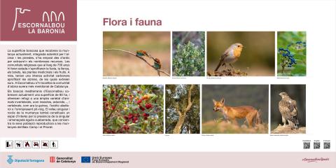 Flora i fauna