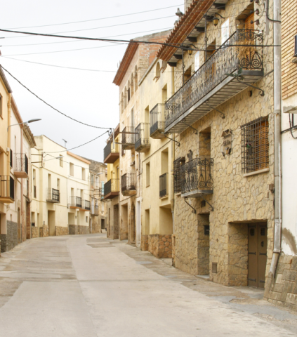 La Palma d'Ebre és un dels municipis que s'ha beneficiat d'aquests ajuts en convocatòries anteriors