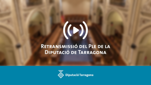 El Ple de la Diputació es retransmetrà en directe