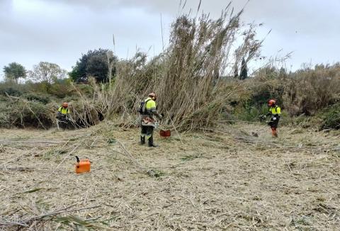poden optar als ajuts projectes i actuacions de conservació i millora ecològica i paisatgística i de regulació d’ús d’espais naturals, àrees de lleure i entorns de caràcter forestal, fluvial i marítim
