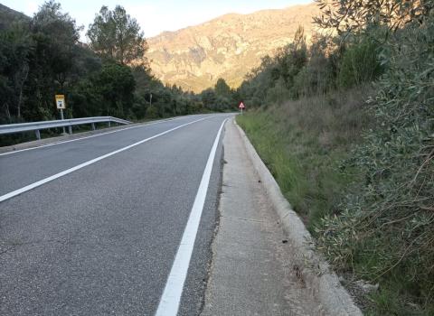 Una de les 74 carreteres de la Diputació on enguany s'han produït atropellaments d'animals