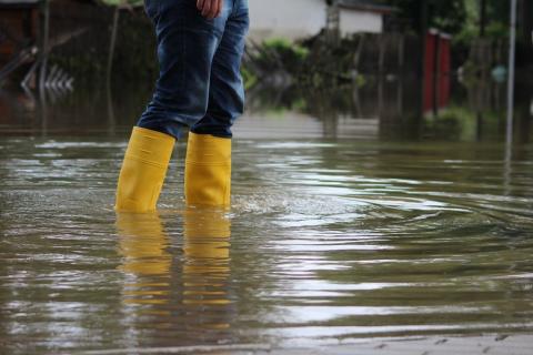 2,6 M€ a la demarcació per a la restauració d'ecosistemes fluvials i la reducció del risc d'inundacions