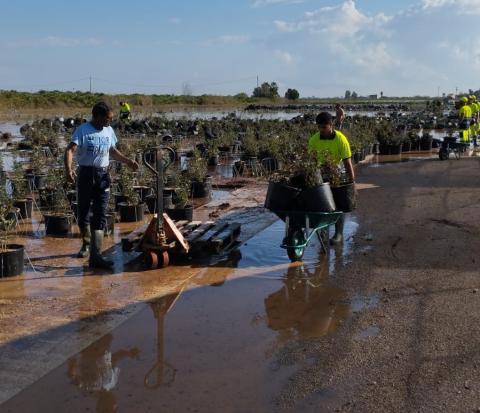Les 20 persones integrants dels Plans d’Ocupació de les comarques de l’Ebre s’han desplaçat a les zones més perjudicades per contribuir als treballs de neteja i retirada  de fang i runa