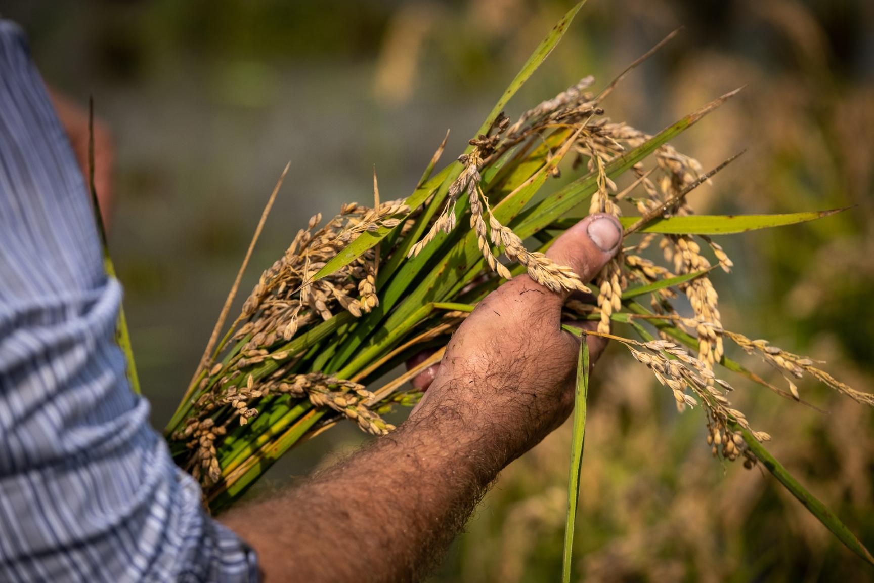 Tarragona lleva sus productos agroalimentarios al Gastronómico Fórum de Barcelona