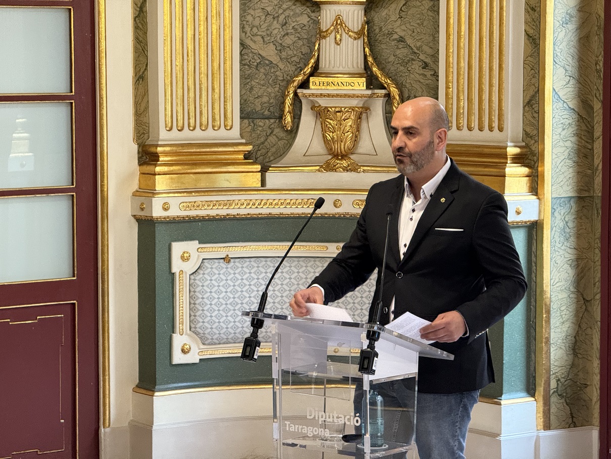 El diputat de Projectes Europeus, Vale Pino, durant la seva intervenció