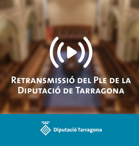 Retransmissió de la sessió del Ple