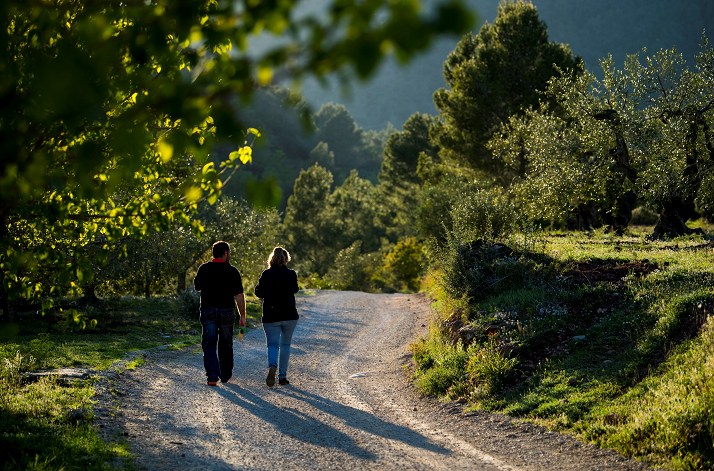 La institució ha subvencionat amb 300.000 euros a una vintena d’entitats per a impulsar programes en àmbits com la salut mental, la prevenció d’addiccions o l’alimentació saludable